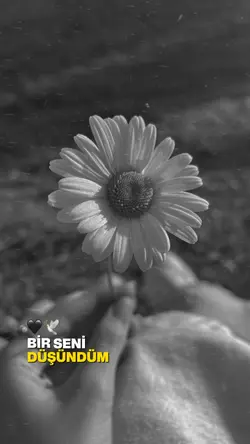 Yeni akım koş 