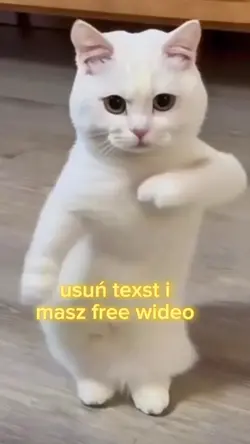 free wideo
