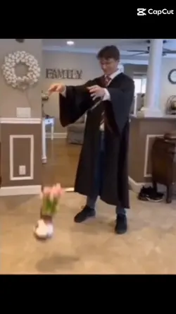 Harry Flopper