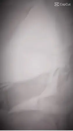 Best friends Edit