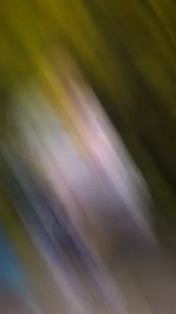 thakuri template 