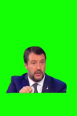 L'elenco di SALVINI