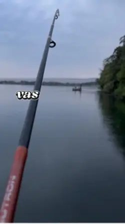 Pasara