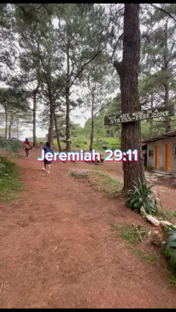 Jeremiah 29:11