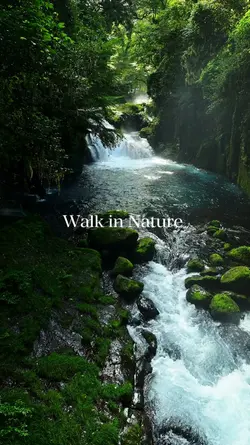 Walk in Nature