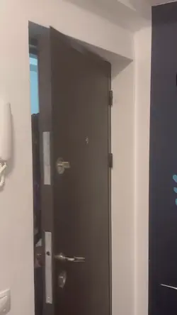 funny dog