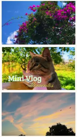 Mini Vlog 