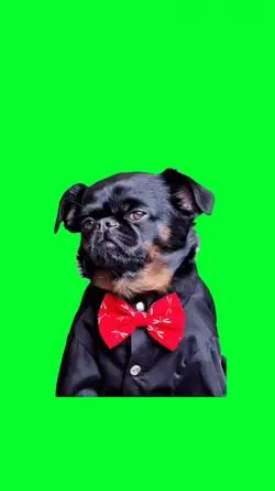 the dogfather