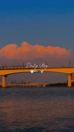 DAILY VLOG HD