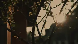 Cinematic 