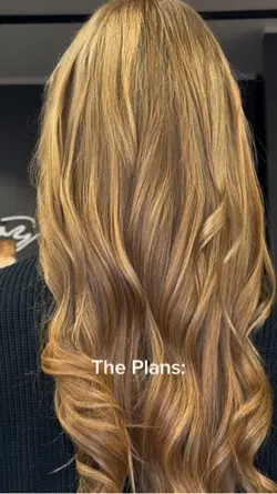 “Sorry, I've Plans”
