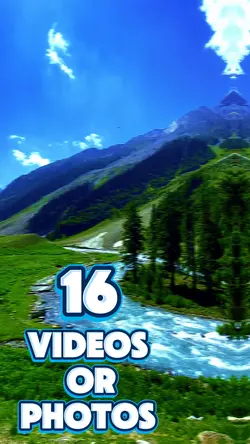 16 videos or photos 