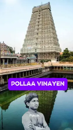 Pollaa Vinayen