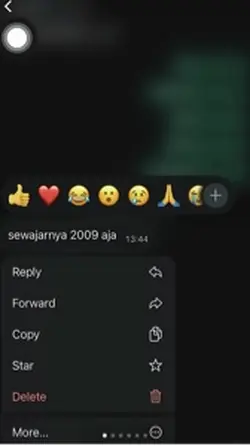 sewajarnya2009aja