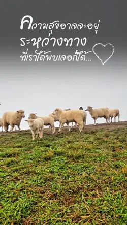 ความสุขระหว่างทาง