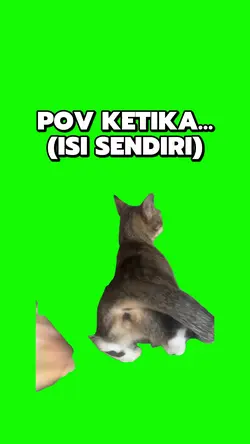 KUCING NUNGGING