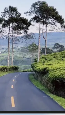 jj pemandangan 