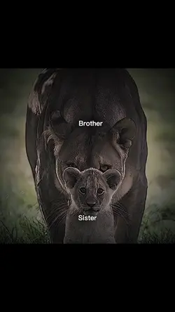 Brother and Sister 