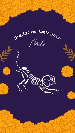 Perrito en el cielo