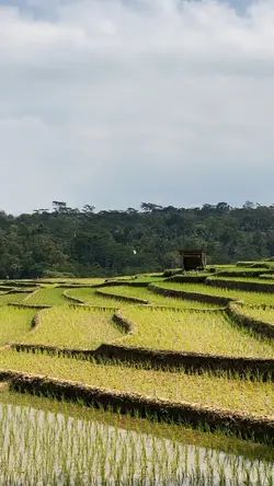 Cinematic Vidio