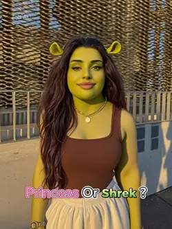 princess or shrek?