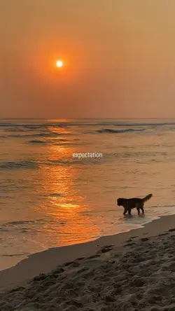 Great Expectation