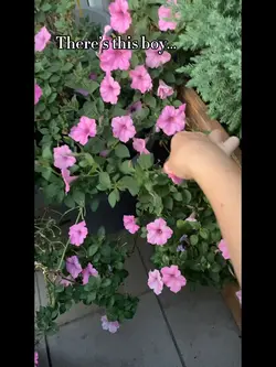 🥴😻.