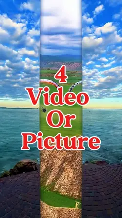 4 video or picture 