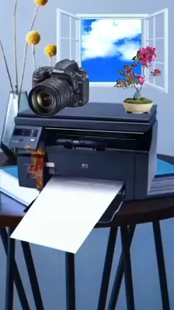 Print
