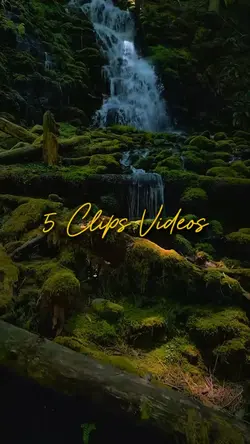 5 Clips Videos 