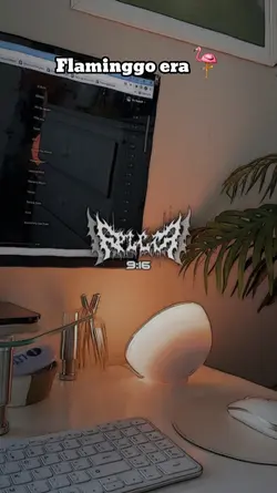 flaminggo era 