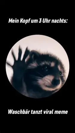 Waschbär tanzt meme