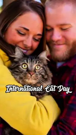 Cat Day