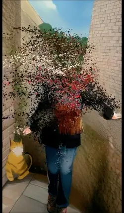 particle effect