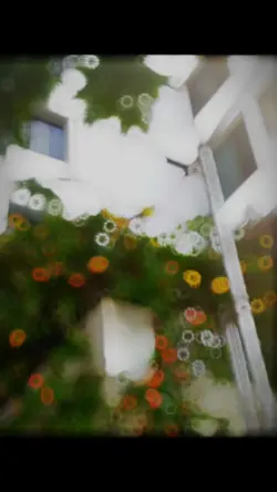 ফুল
