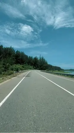 Lagu aceh viral 