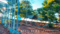 CINEMATIC Animevibes