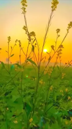 ให้บุญนำพา
