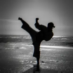 karate 
