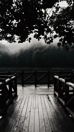 Video Cinematik