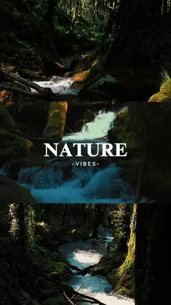 Nature vibes