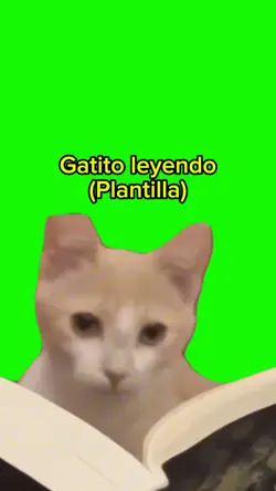 Gato leyendo