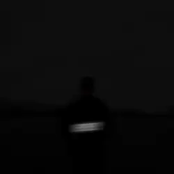 Vannex Song