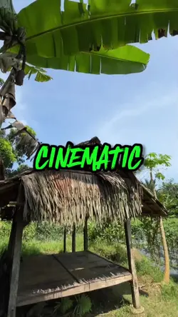 CINEMATIC