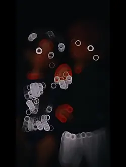 Idk