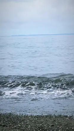Wave