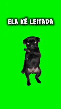 ELA KÉ LEITADA Dance