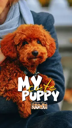 My Cute Puppy 