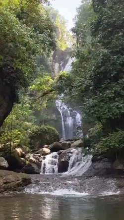 Tenang