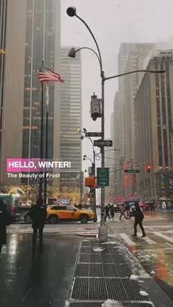 Hello, Winter!